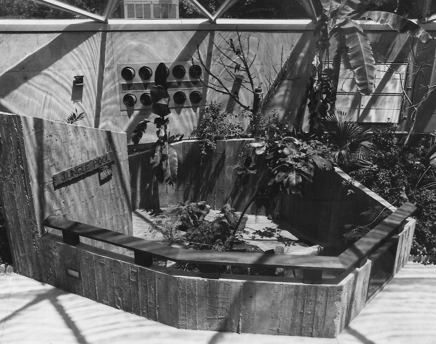 18 The Rainforest opened in 1974 and featured many innovative exhibits, such as this Asian Smalll Clawed Otter habitat.