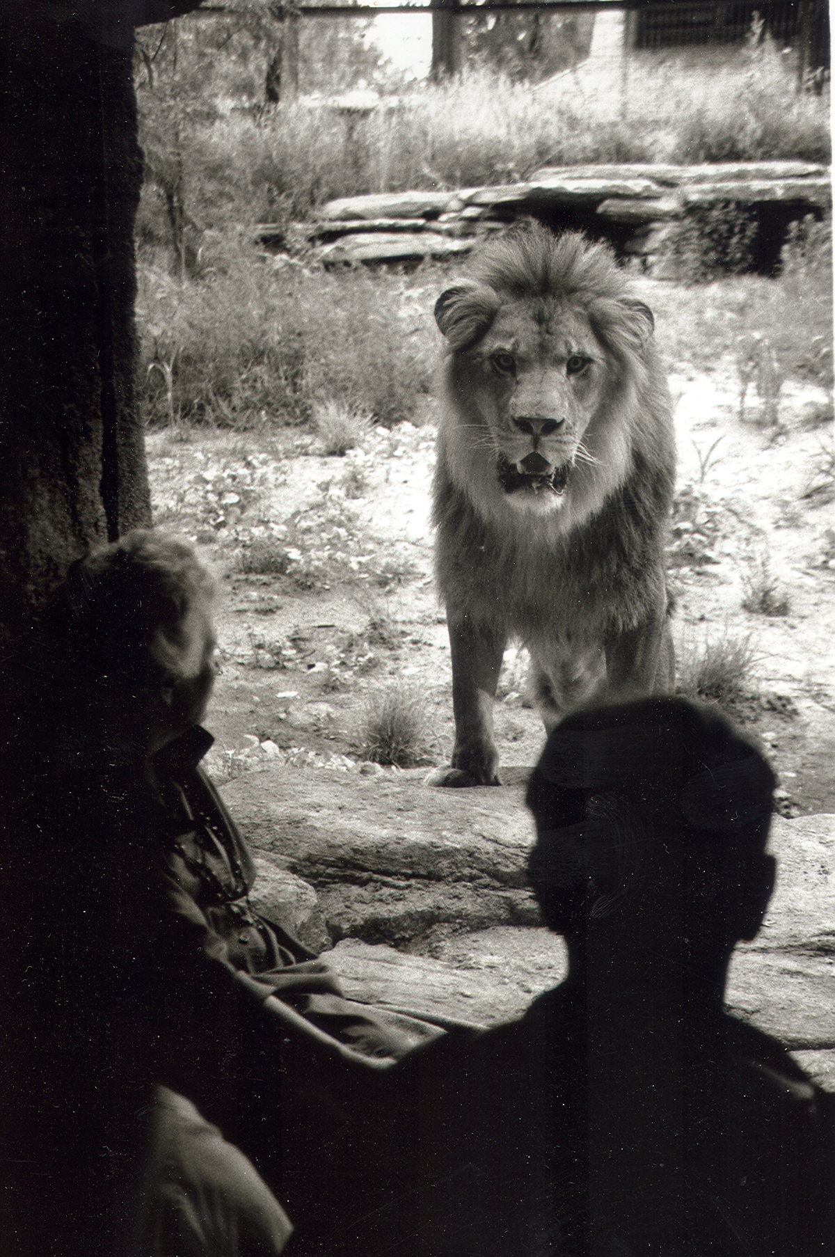 22 Grand Opening of Lions Pride: Samburu 1989