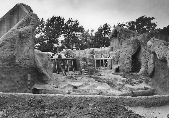 6 The Gorilla Encounter in Phase II was the first glass tunnel exhibit in North America that provided a 360 degree view of the gorillas.