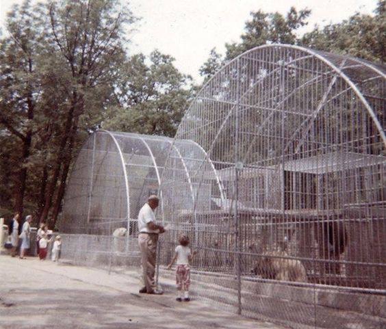Historical (2) Exhibits evolved over the past several decades as natural habitats and enrichment became focal points.