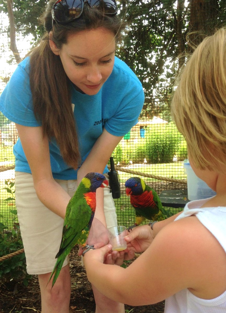 Picture1 Adventure Trails featuring Lorikeet feedings opened in 2015.