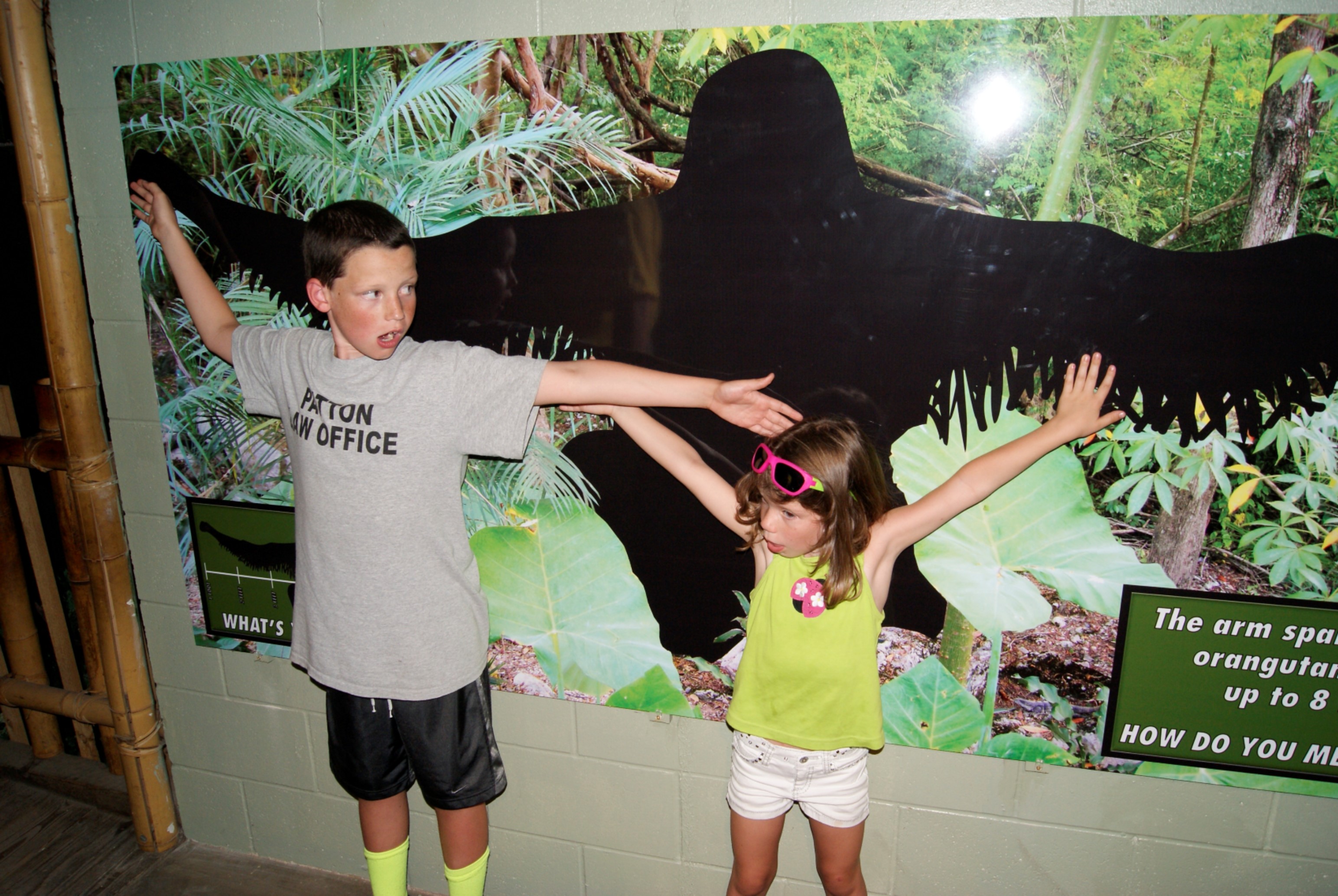 Picture4 Treetops Conservation Center Opening Day: 2012