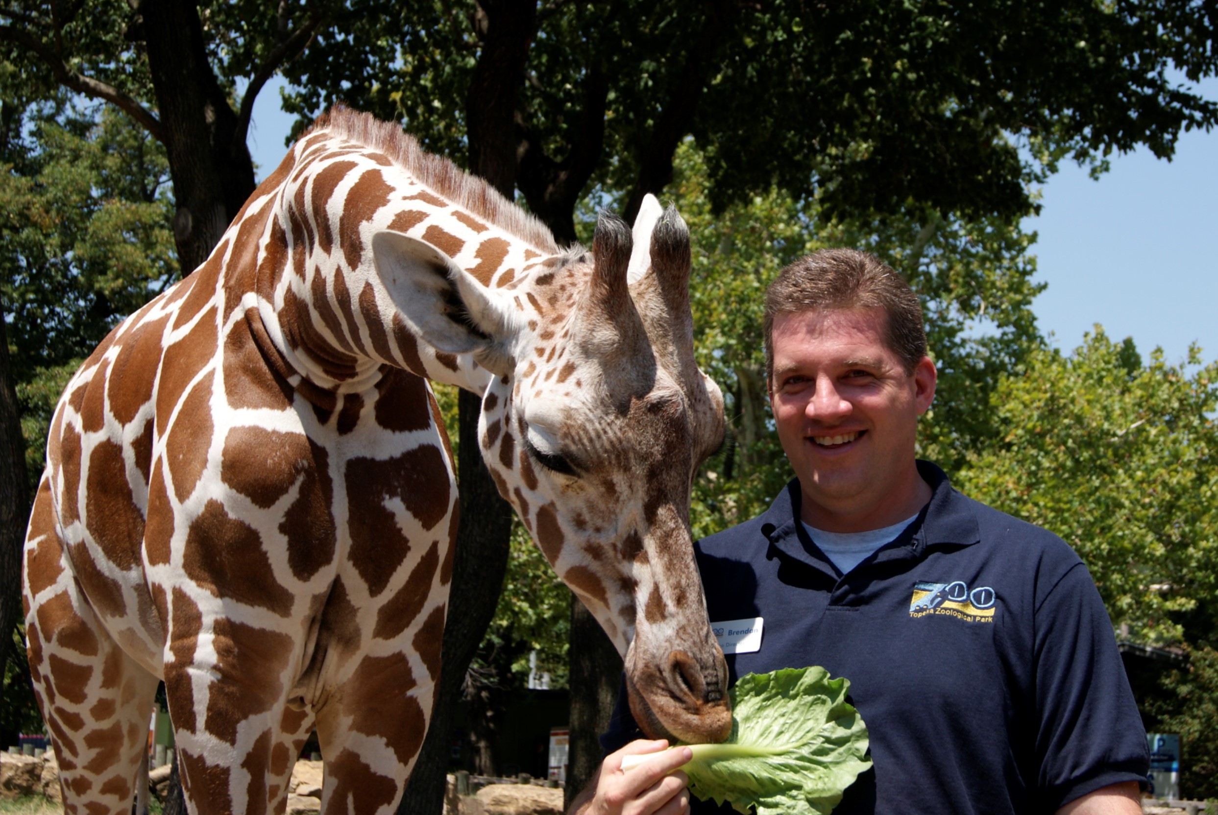 Picture5 Director Brendan Wiley with Hope the Reticulated Giraffe. Both began their tenure in 2010.