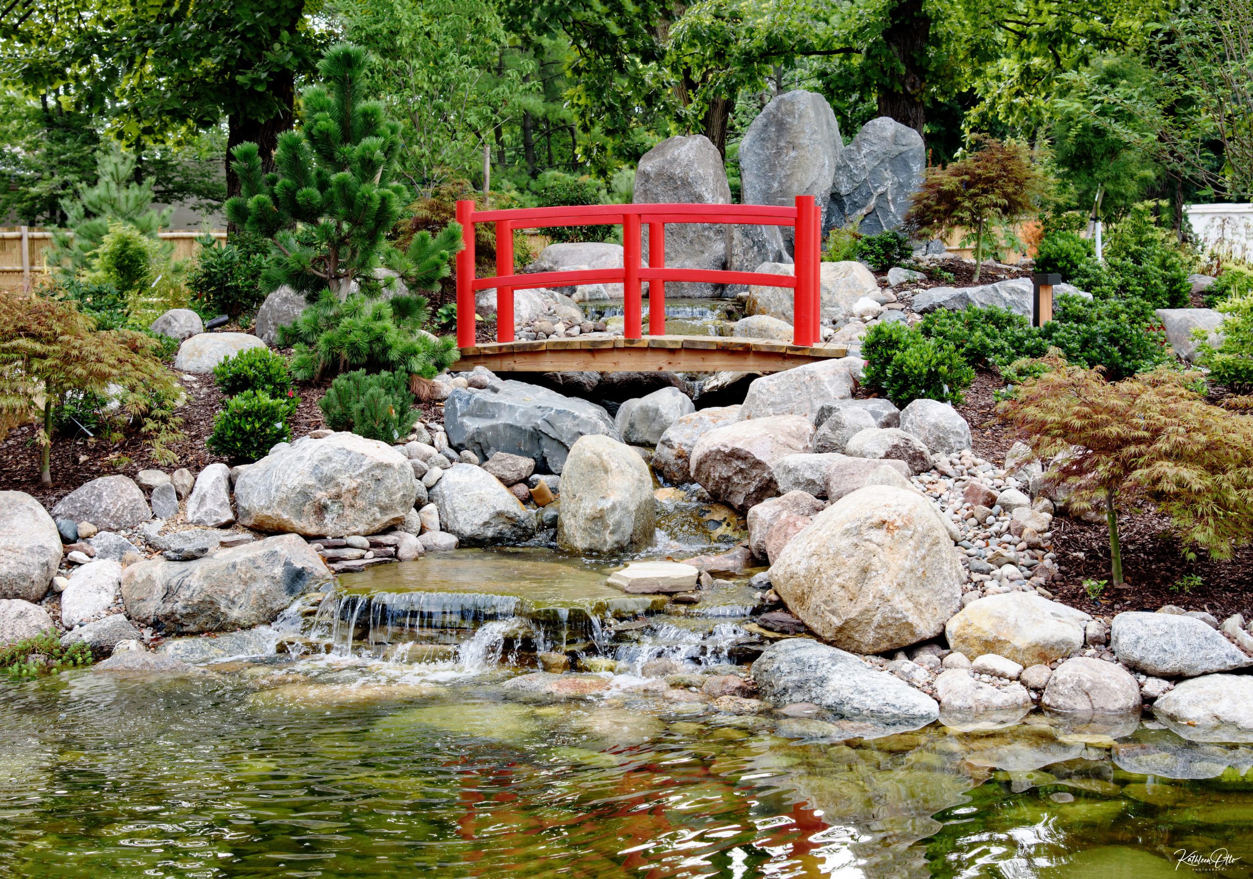 Smaller moon bridge looking over the tea house insife the Kay McFarland Japanese Garden
