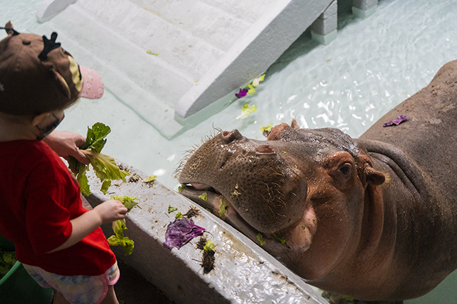 Get Up close & Personal with a Wild Encounter!