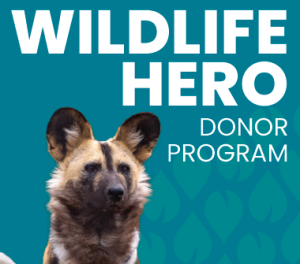 Screenshot 2024-02-22 at 10.46.04 AM