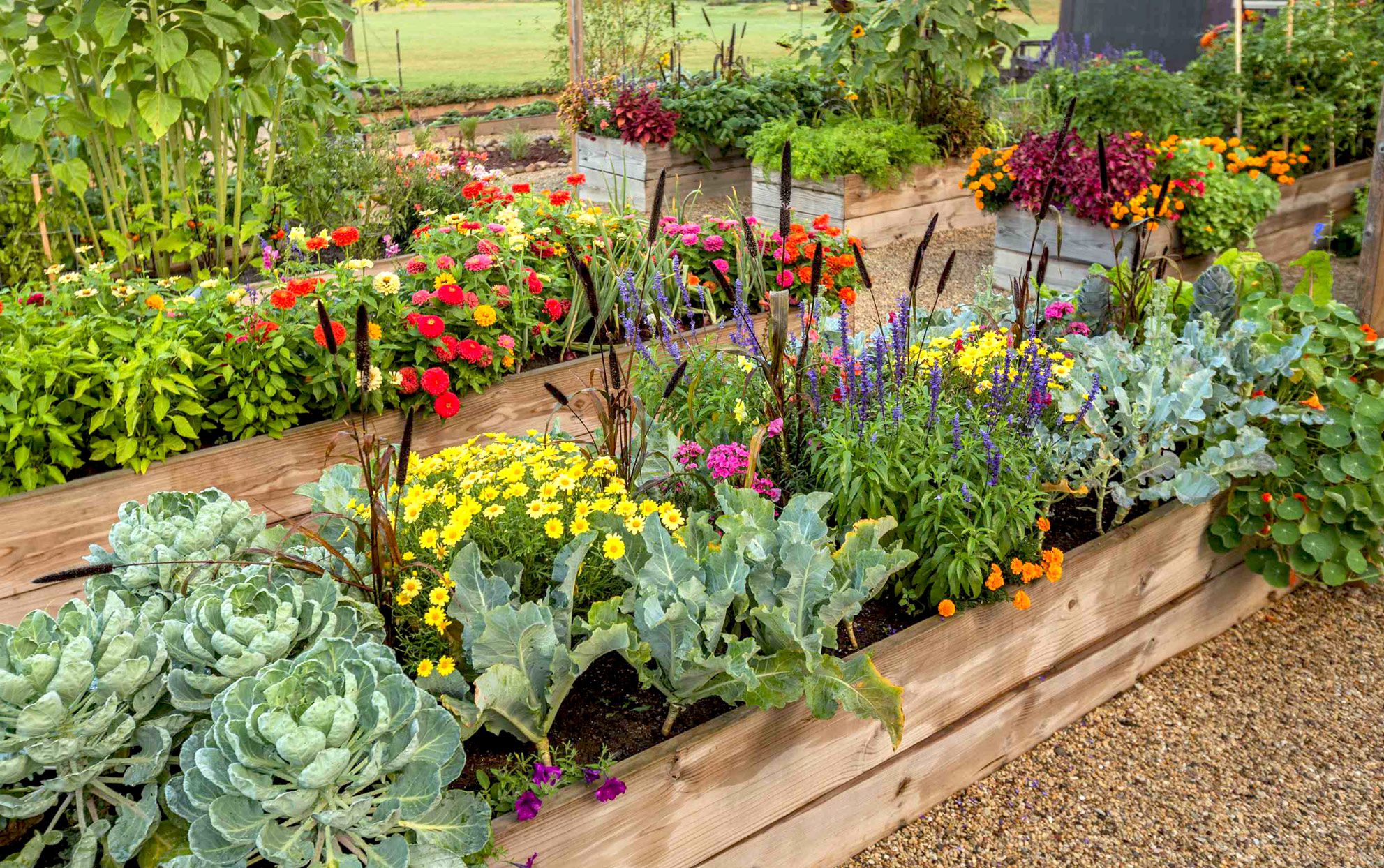 Raised-bed-gardens-7003402-3e18f6f127e249e78eb18ea69680982a Raised-bed-gardens-7003402-3e18f6f127e249e78eb18ea69680982a