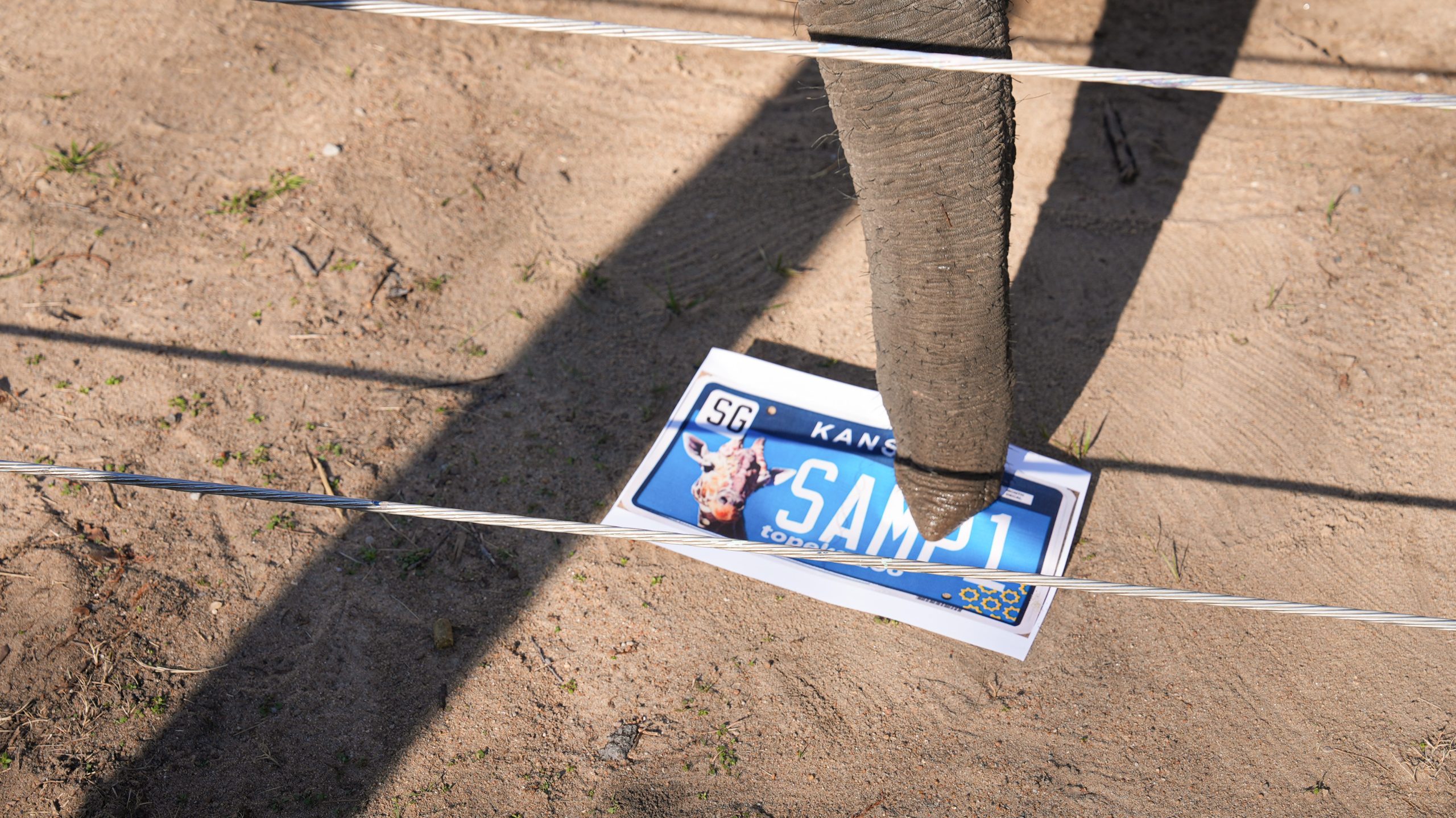 Tembo 3 1224 Tembo 3 1224