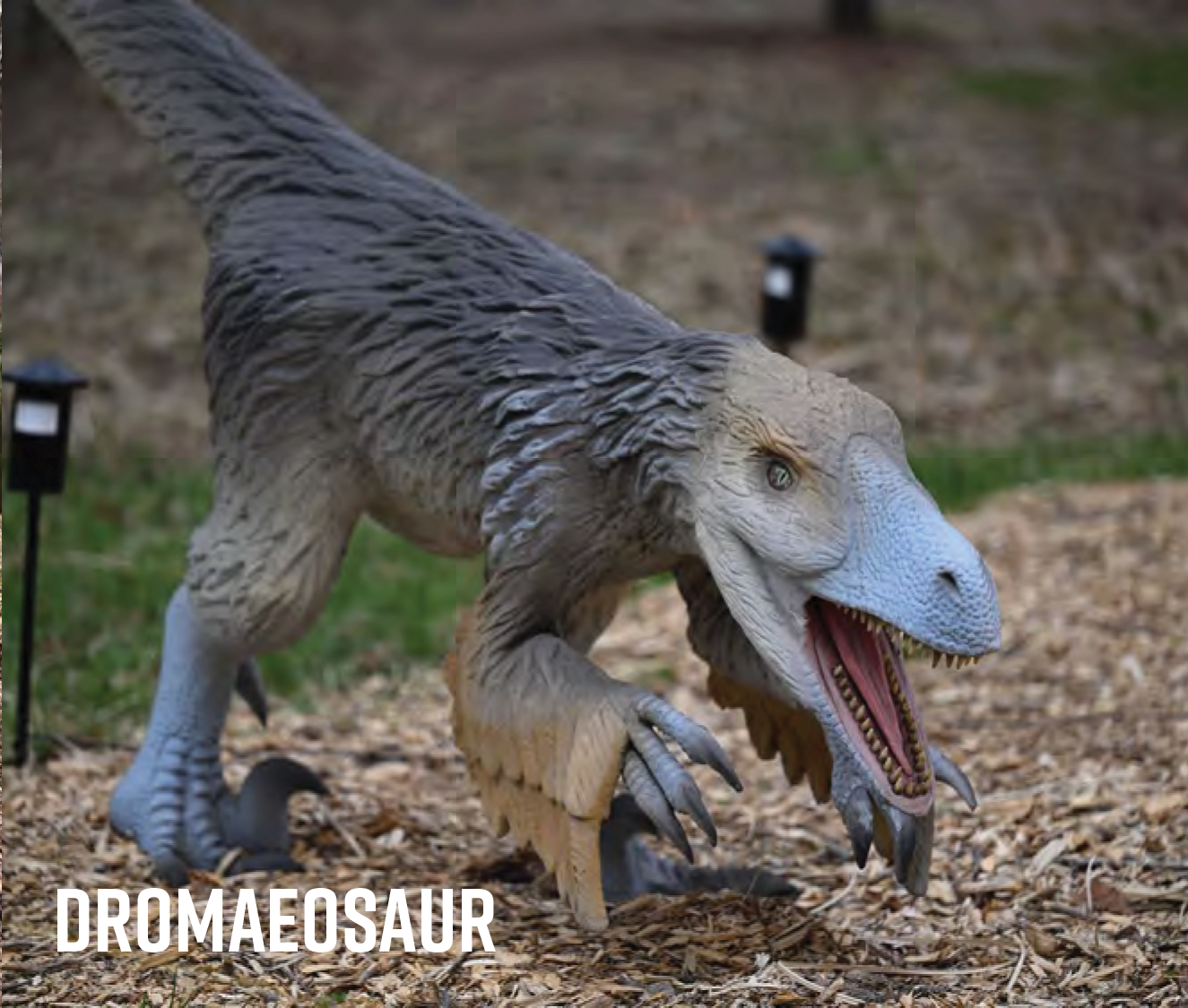 deinonychus deinonychus