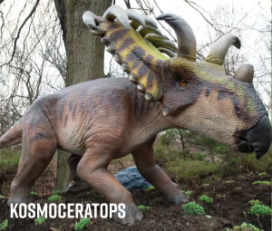 kosmoceratops kosmoceratops