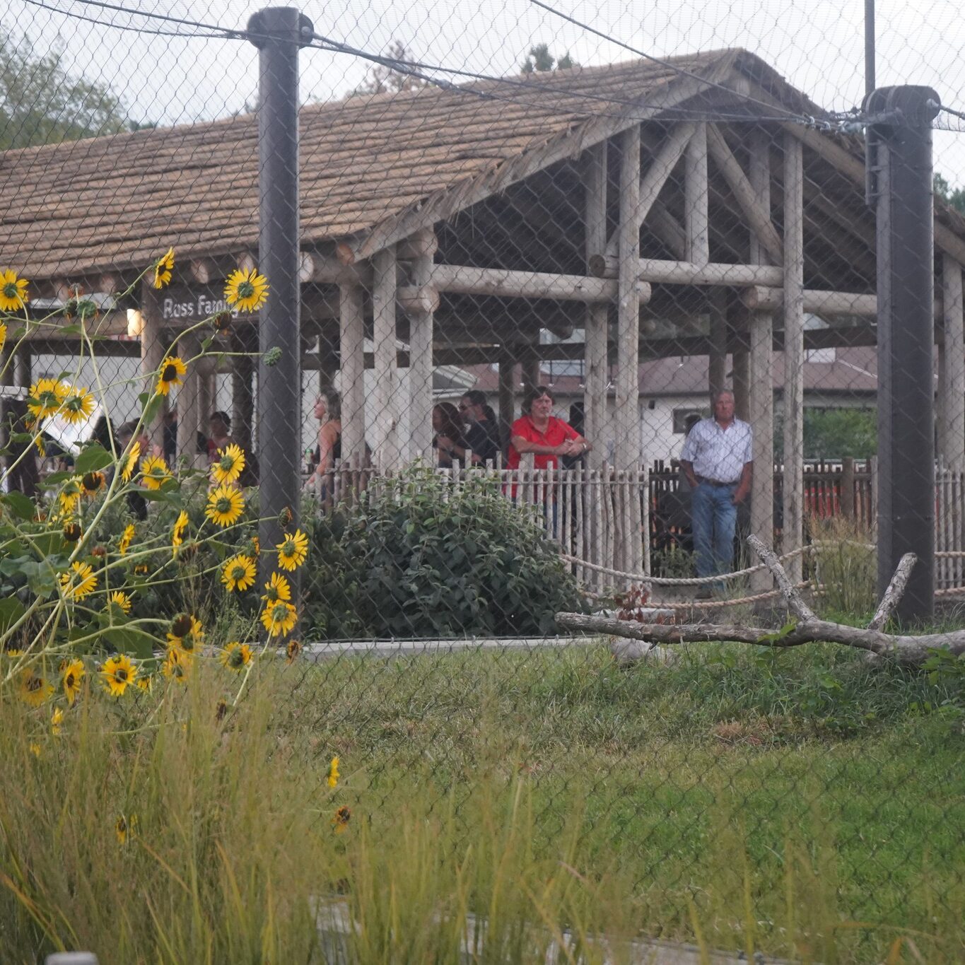 380258903_632867155645297_2345955530226964086_n