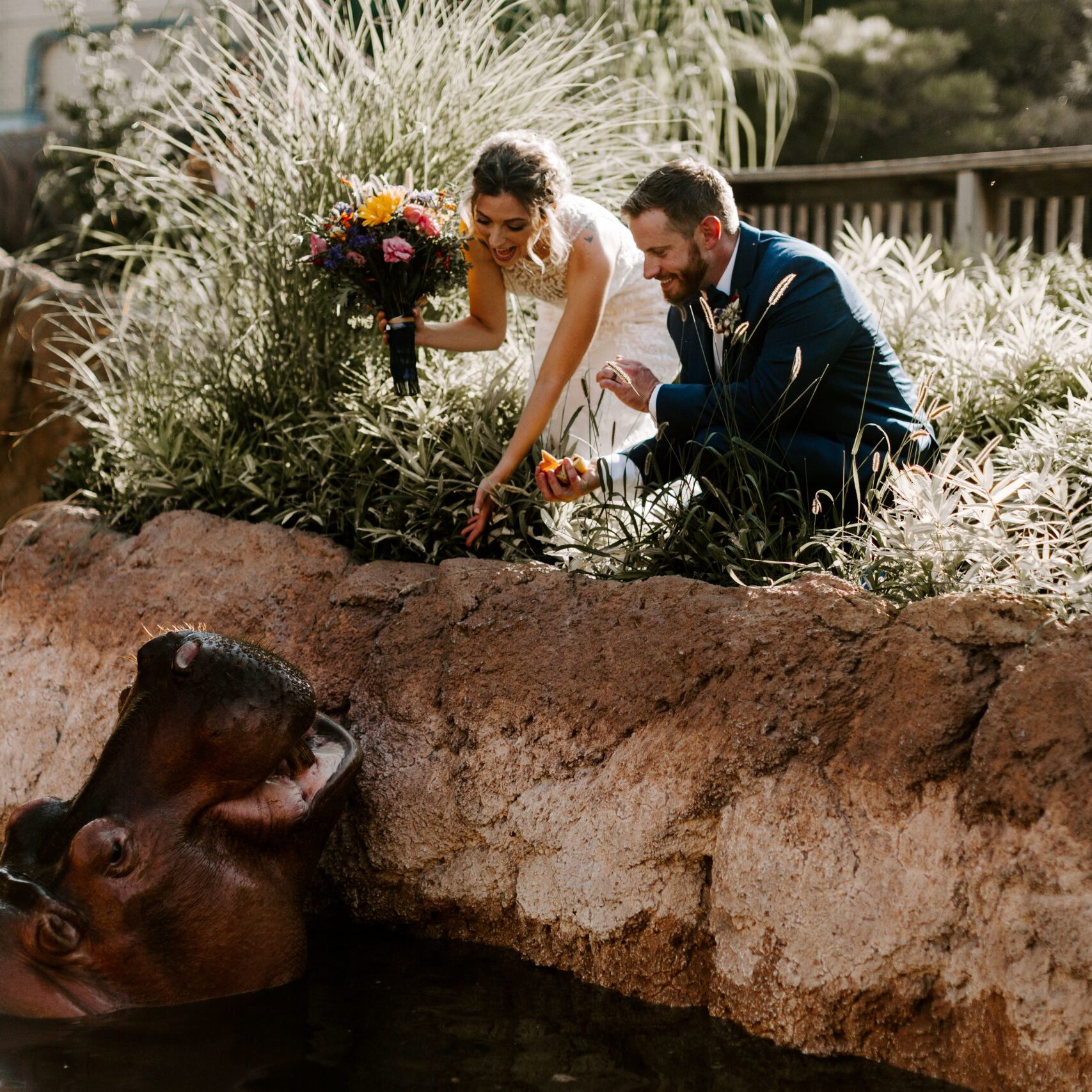 Feeding Vision the Hippo Wedding Animal Experience